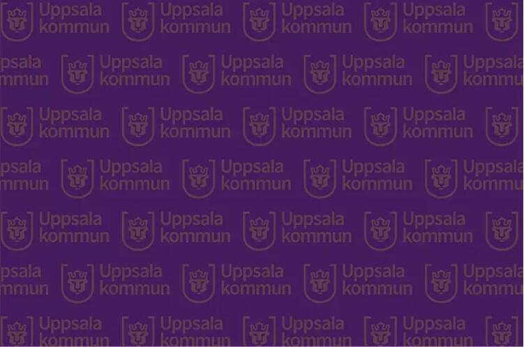 瑞典第四大城市乌普萨拉启用全新城市logo6.jpg